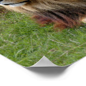 カメロン3 11x11 ポスター (角)