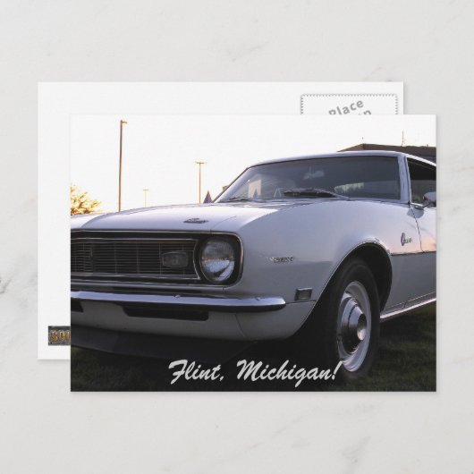 カメロ ポストカード (正面/裏面)