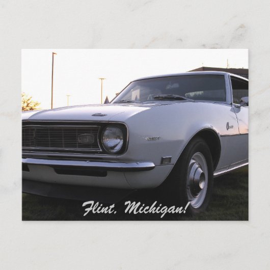 カメロ ポストカード (正面)