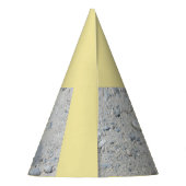 カメ写真 パーティーハット (裏面)