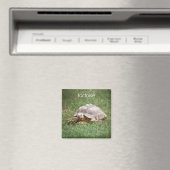 カメ冷蔵庫磁石 マグネット (インサイチュ (食洗機))