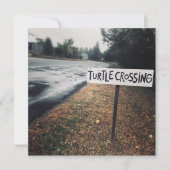 カメ渡行中 招待状 (正面)