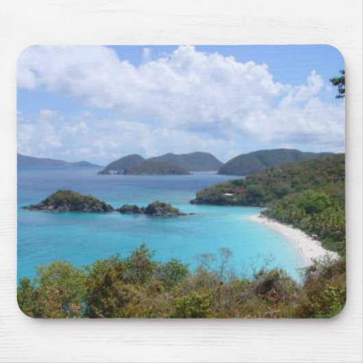 カメ湾 マウスパッド (正面)