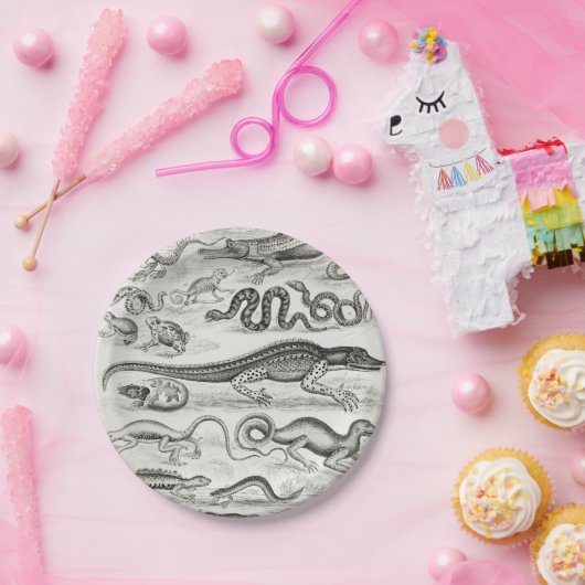 カメ爬虫類の白黒と白 ペーパープレート (パーティー)