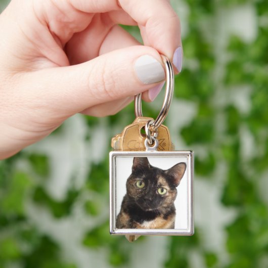 カメ猫 キーホルダー (手)