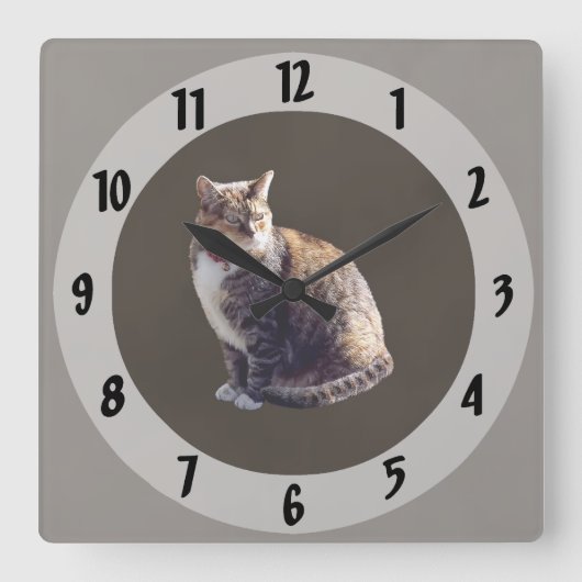 カメ猫 スクエア壁時計 (正面)