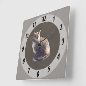 カメ猫 スクエア壁時計 (傾斜)