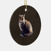 カメ猫 セラミックオーナメント (右)