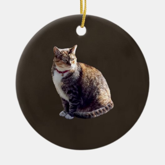 カメ猫 セラミックオーナメント (正面)