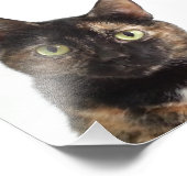 カメ猫 フォトプリント            (角)