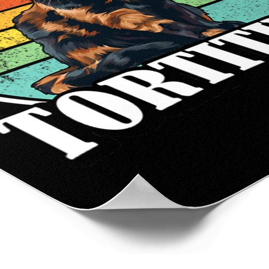 カメ猫 ポスター (角)