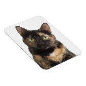 カメ猫 マグネット (右側)