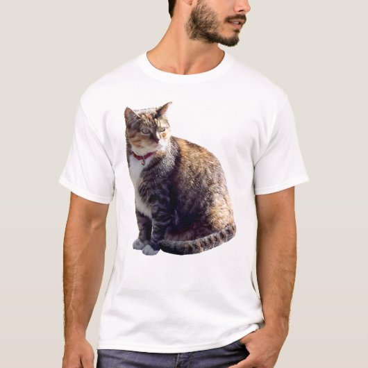 カメ猫 Tシャツ (正面)