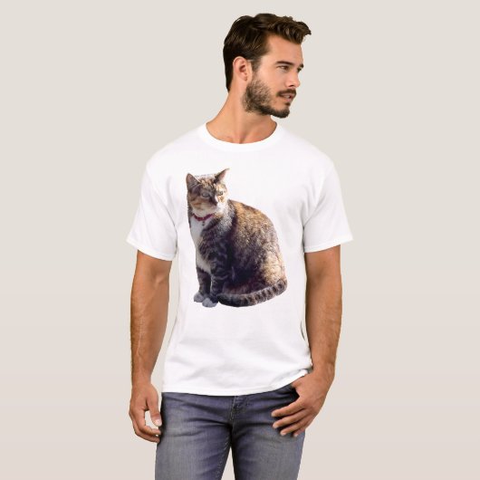 カメ猫 Tシャツ (正面フル)