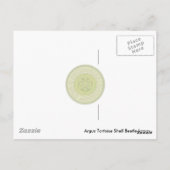 カメ甲虫幼虫はがき ポストカード (裏面)