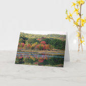 "カメ町池" カード (黄色い花)