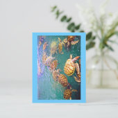 カメ遊 ポストカード (スタンド正面)