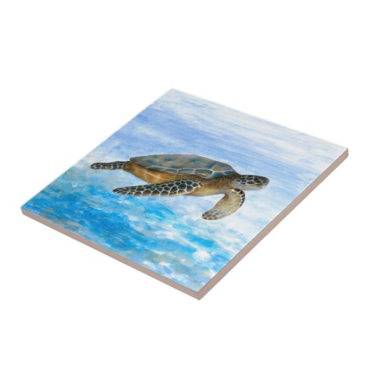 カメ1 タイル (側面)