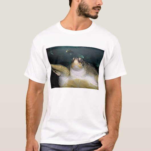カメ2 Tシャツ (正面)