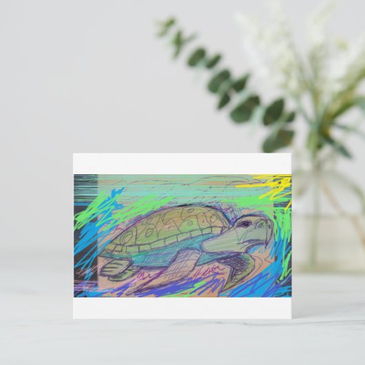 カメ7 ポストカード (スタンド正面)