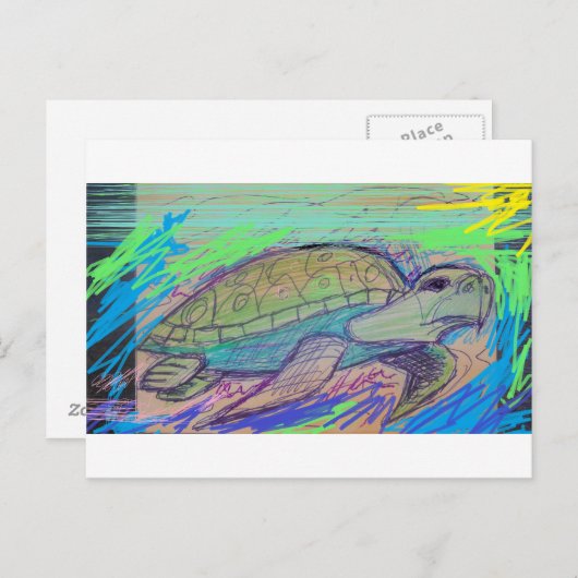 カメ7 ポストカード (正面/裏面)