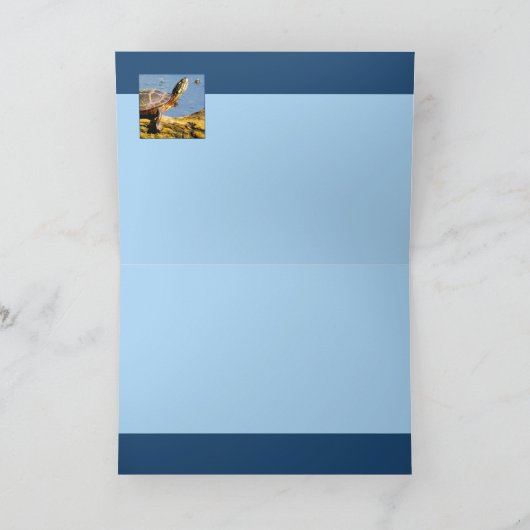 カメ カード (内部)