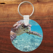 カメ キーホルダー (正面)