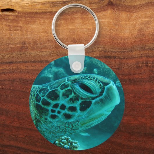 カメ キーホルダー (正面)