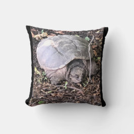 カメ クッション