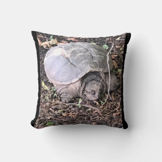 カメ クッション (正面)