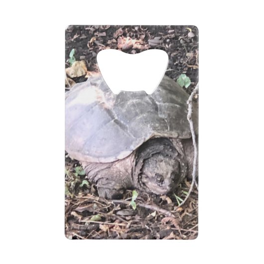 カメ クレジットカード栓抜き (正面)