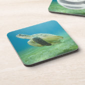 カメ コースター (左側)