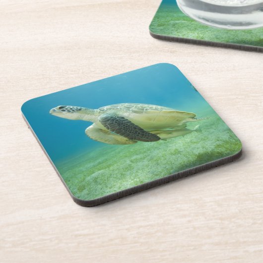 カメ コースター (左側)