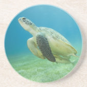 カメ コースター (正面)