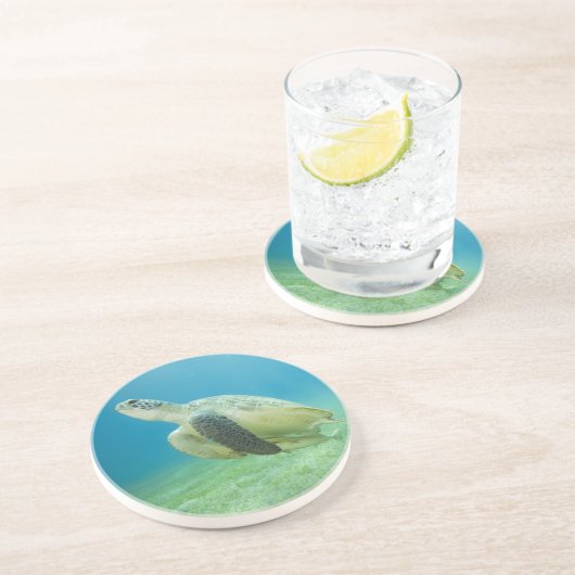 カメ コースター (側面)