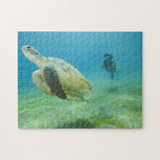 カメ ジグソーパズル (横)