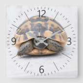 カメ スクエア壁時計 (正面)