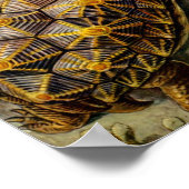 カメ(チェロニア)バイヘッケル ポスター (角)