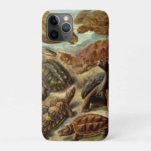 カメ(チェロニア)バイヘッケル Case-Mate iPhoneケース (裏)