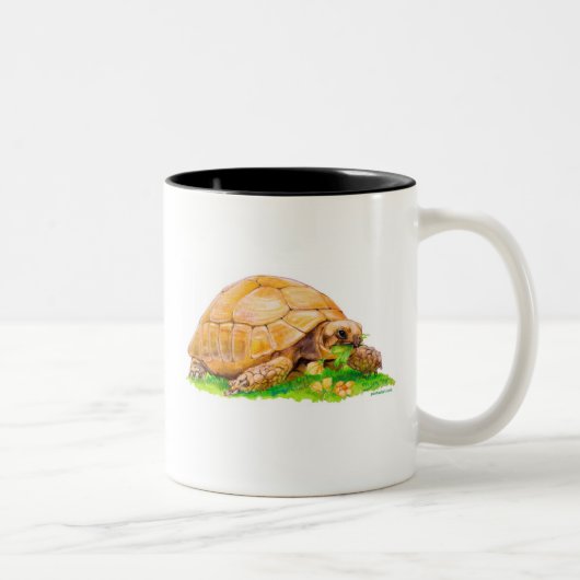 カメ ツートーンマグカップ (右)