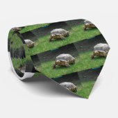 カメ ネクタイ (ロール)