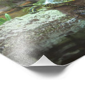 カメ フォトプリント            (角)