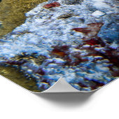 カメ ポスター (角)