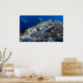 カメ ポスター (キッチン)