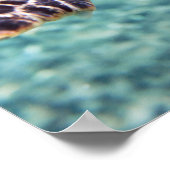 カメ ポスター (角)