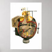 カメ ポスター (正面)