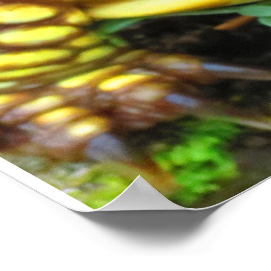 カメ ポスター (角)