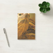 カメ ポストイット (オフィス)