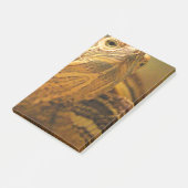 カメ ポストイット (アングル)