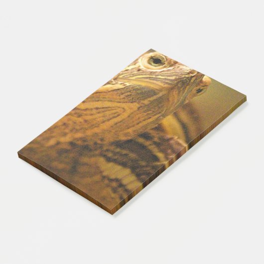 カメ ポストイット (アングル)